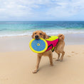 Load image into Gallery viewer, Body Glove Tough Toss Disc - Fetch Disk Toy For Dogs
