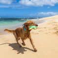 Load image into Gallery viewer, Body Glove Tough Toss Star - Flying Disc Toy For Dogs
