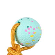 Body Glove Tough Tug Toy