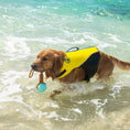 Load image into Gallery viewer, Body Glove Tough Tug Toy - Rope Toy For Dogs
