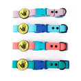 Load image into Gallery viewer, Body Glove Waterproof Dog Collar - Teal - Small
