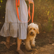 Body Glove Waterproof Leash