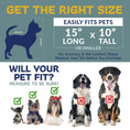Load image into Gallery viewer, Bone Cruiser Pet Carrier with Removable Wheels and Telescopic Handle
