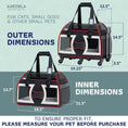 Load image into Gallery viewer, Bone Cruiser Pet Carrier with Removable Wheels and Telescopic Handle
