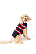Load image into Gallery viewer, Bow Tie Dog Sweater
