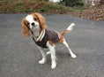 Load image into Gallery viewer, Boyfriend Dog Sweater
