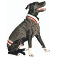 Load image into Gallery viewer, Boyfriend Dog Sweater
