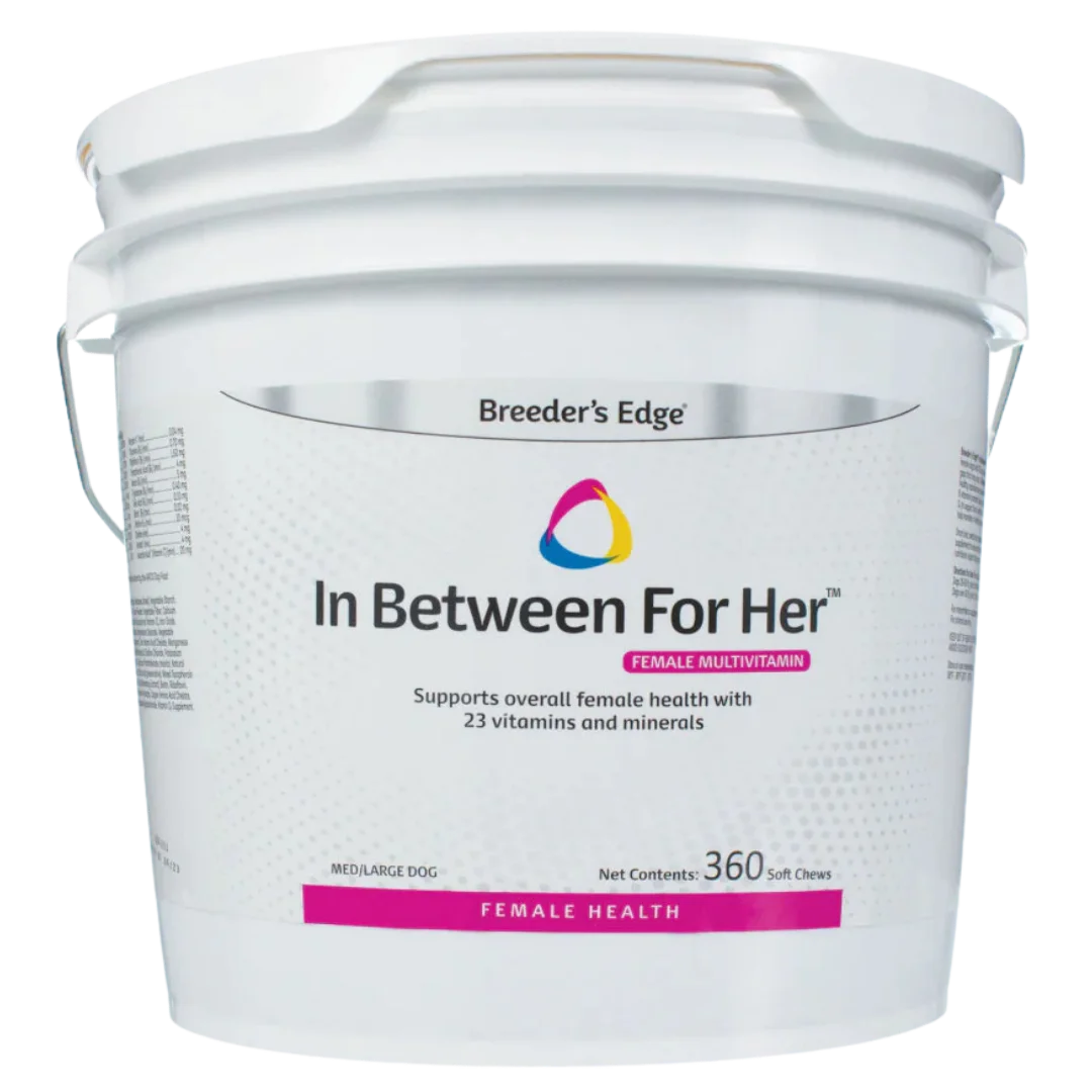 In Between For Her 360ct Medium/Large Dog by Breeders Edge