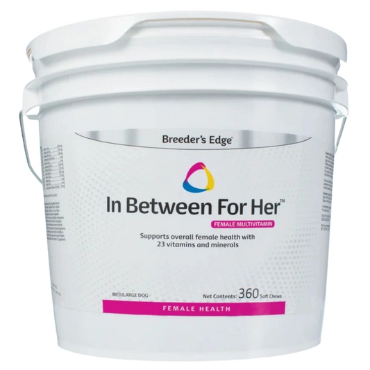 In Between For Her 360ct Medium/Large Dog by Breeders Edge