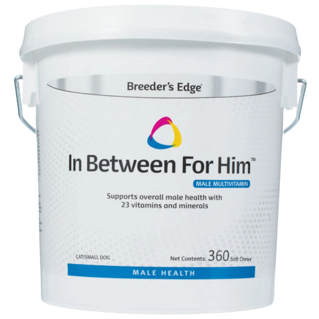 In Between For Him 360ct Cat/Small Dog by Breeders Edge