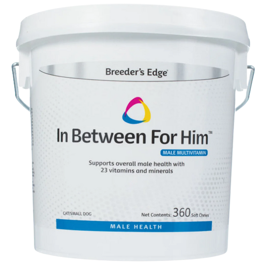 In Between For Him 360ct Cat/Small Dog by Breeders Edge