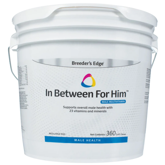 In Between For Him 360ct Medium/Large Dog by Breeders Edge