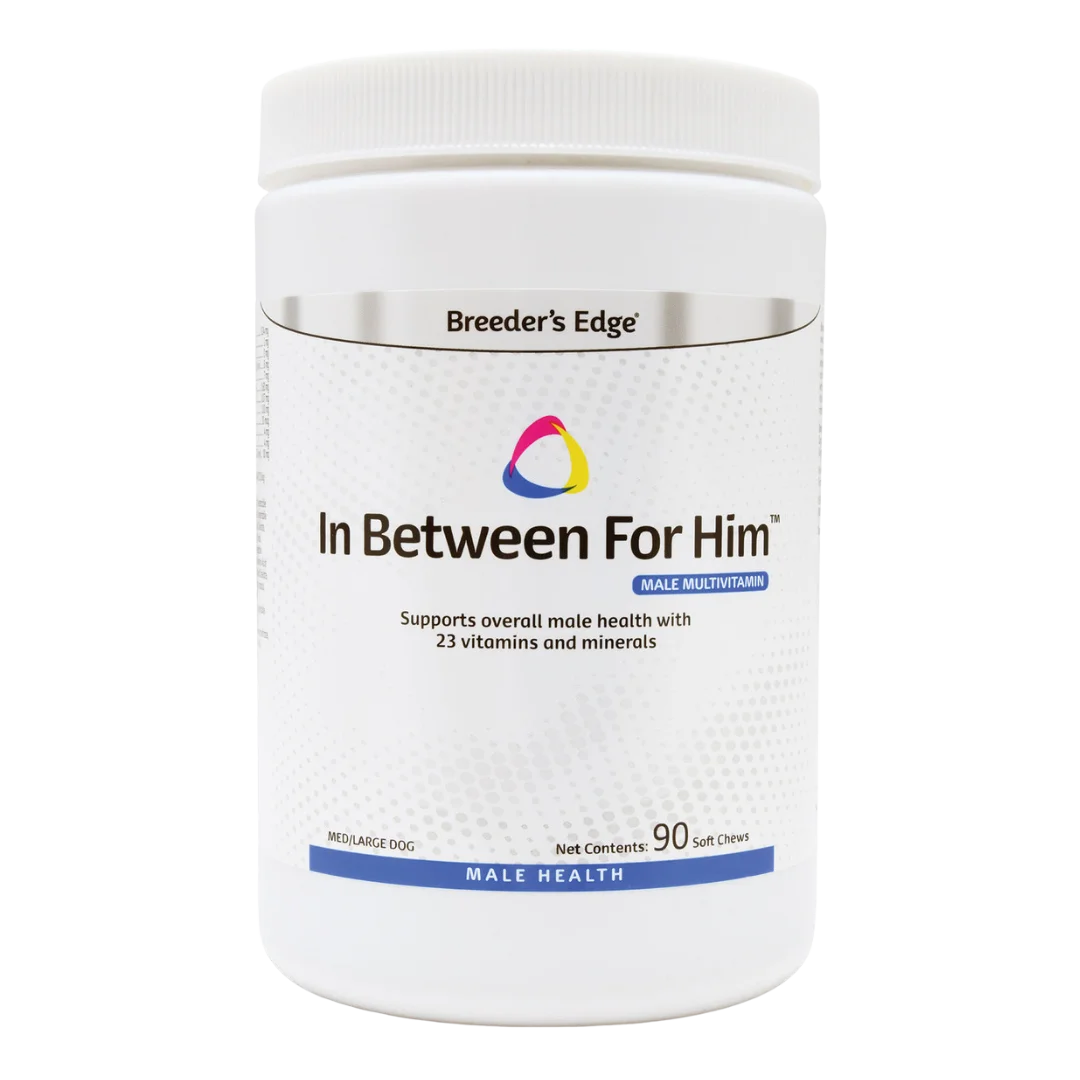 In Between For Him 90ct Medium/Large Dog by Breeders Edge