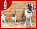 Load image into Gallery viewer, Magic White Brightening Dog Shampoo - Cherry Scented - 17oz
