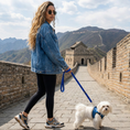 Load image into Gallery viewer, EcoBark Step In Dog Harness - XXXS to Small Breeds- Reflective Soft Mesh Harness for Teacup, Small Dogs and Puppies / Bright Blue Sport
