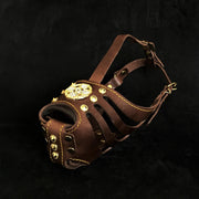 'Maximus'' Basket Muzzle Brown & Gold