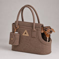 Load image into Gallery viewer, Nooee Pet Ash Felt Dog Carrier
