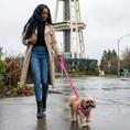 Load image into Gallery viewer, EcoBark Step In Dog Harness - XXXS to Small Breeds- Reflective Soft Mesh Harness for Teacup, Small Dogs and Puppies / Bubblegum Pink
