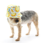 Bucket Hat Lemonade