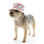 Bucket Hat Lemon Pink