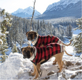 Load image into Gallery viewer, Buffalo Plaid Dog Sweater
