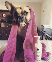 Hydrating Butter - For Dog's Skin & Coat - Leave-In Moisturizer