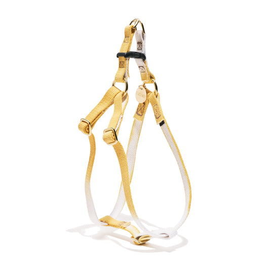Butterscotch Cotton Rope Dog & Cat Harness – Handmade, Durable & Adjustable | Found My Animal