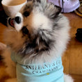 Load image into Gallery viewer, Blue “Sniffany & Co" Dog T-Shirt 
