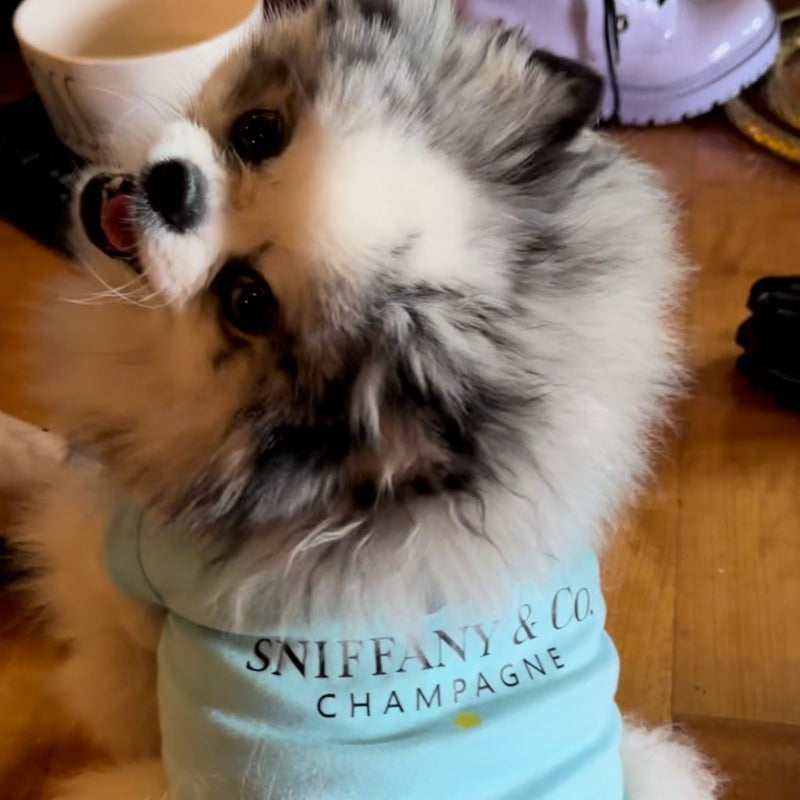 Blue “Sniffany & Co" Dog T-Shirt 