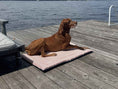 Load image into Gallery viewer, Bowsers Cabana Reversible Indoor-Outdoor Dog Mat lifestyle view
