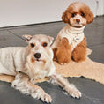 Load image into Gallery viewer, Nooee Pet Off White Wool Cable Sweater
