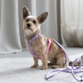 Load image into Gallery viewer, Lavender and Pink - Dog Harness
