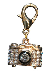 Camera Dog Collar Charm