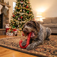 Load image into Gallery viewer, Candy Cane Nylon Dog Toy for Aggressive Chewers | USA Made | SodaPup
