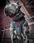 Load image into Gallery viewer, The "Haunted'' collar LIMITED
