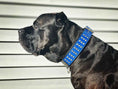 Load image into Gallery viewer, "Star" collar
