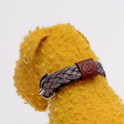 Yellow Fausta Dog Toy