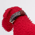 Red Fausta Dog Toy