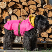 Bespoke Dog Coat/Raincoat Peony Eco-Duvet