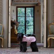 Bespoke Dog Coat/Raincoat Jacqueline
