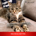 Load image into Gallery viewer, Cool Cat Comb
