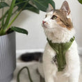 Load image into Gallery viewer, Green - Velvet Dog Harness - Southlake Paws
