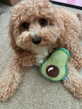 Load image into Gallery viewer, AVOCADO PLUSH DOG TOY - Southlake Paws
