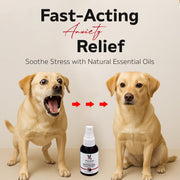 Essential Oil Dog Calming Spray 