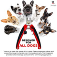 Load image into Gallery viewer, Nail Clippers for Dogs
