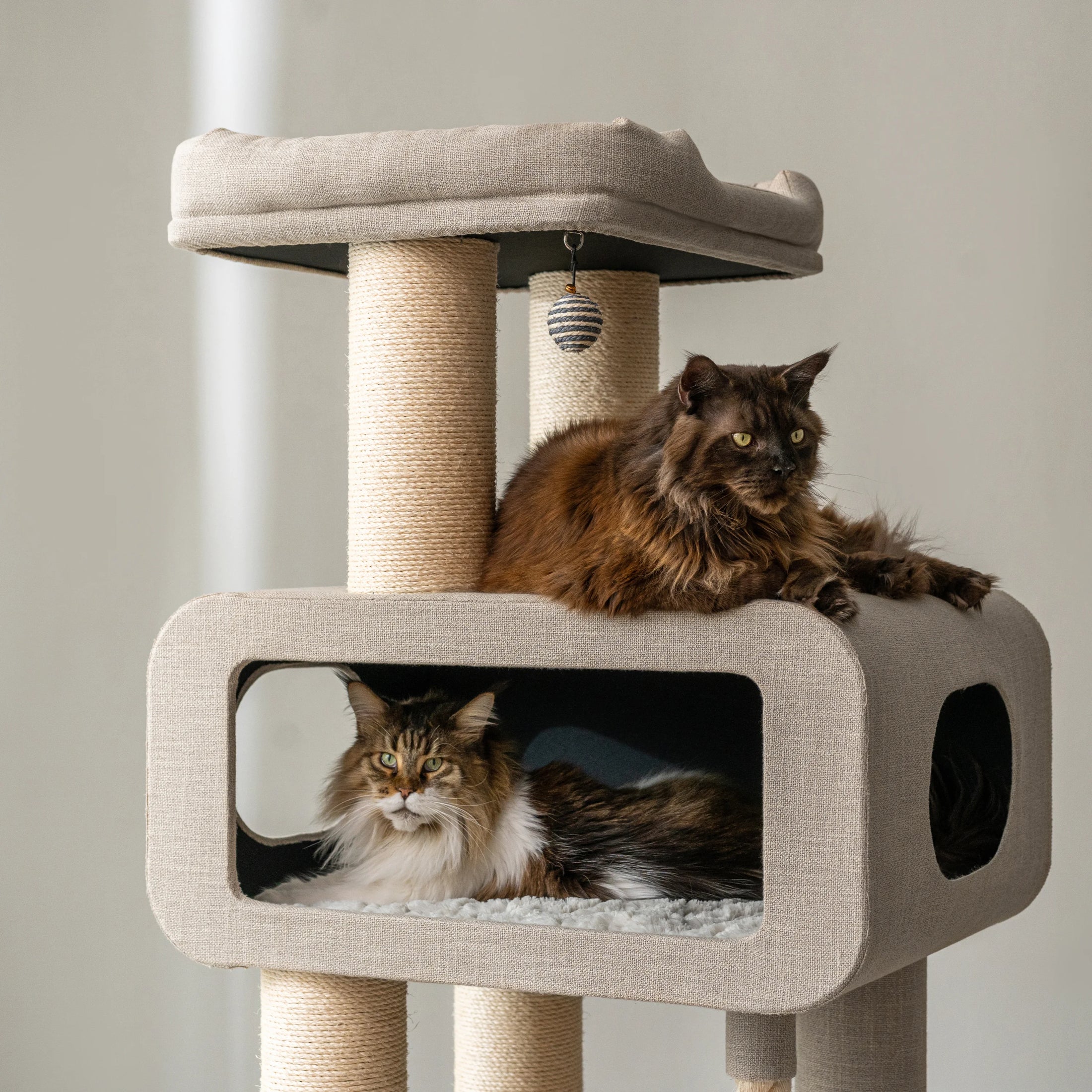 Ontario Extra Large Cat Tree and Scratcher for Indoor Cats