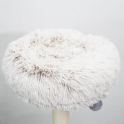 Cullen Arc Modern Multi-Activity Cat Tower