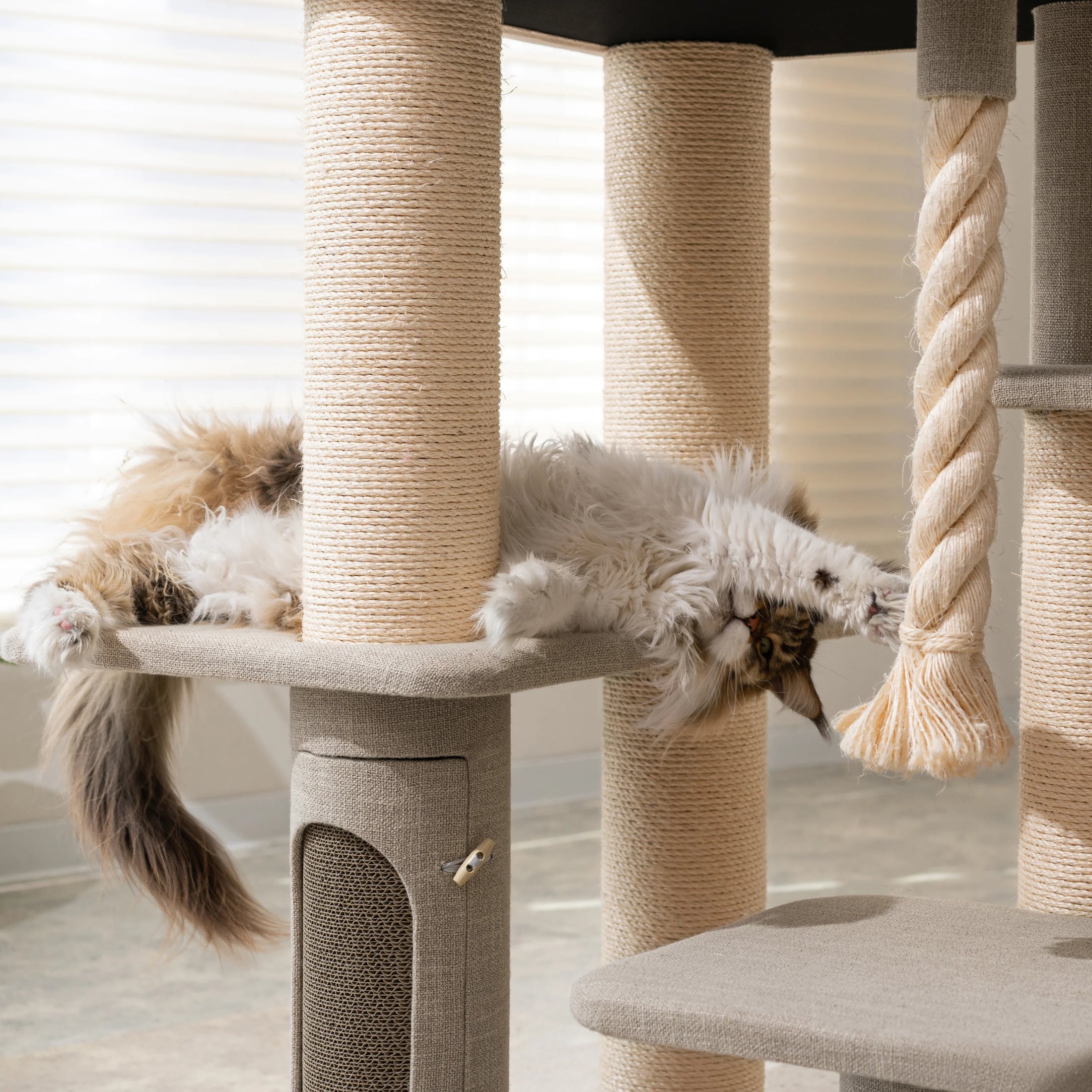 Ontario Extra Large Cat Tree and Scratcher for Indoor Cats