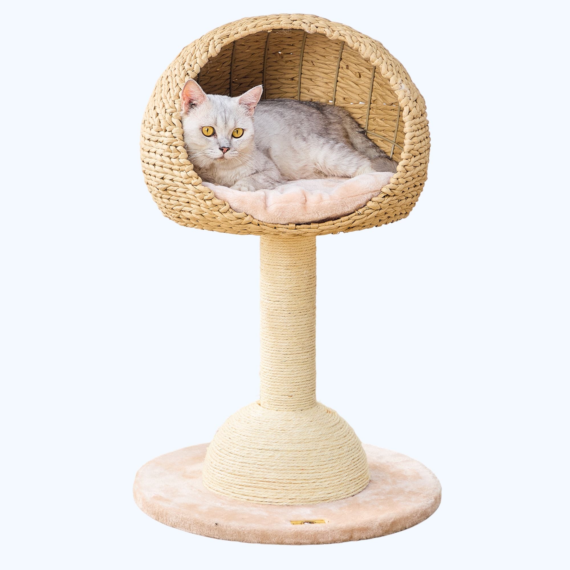 Lookout Handwoven Cat Tree and Scratcher for Indoor Cats