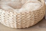Cozy Nest